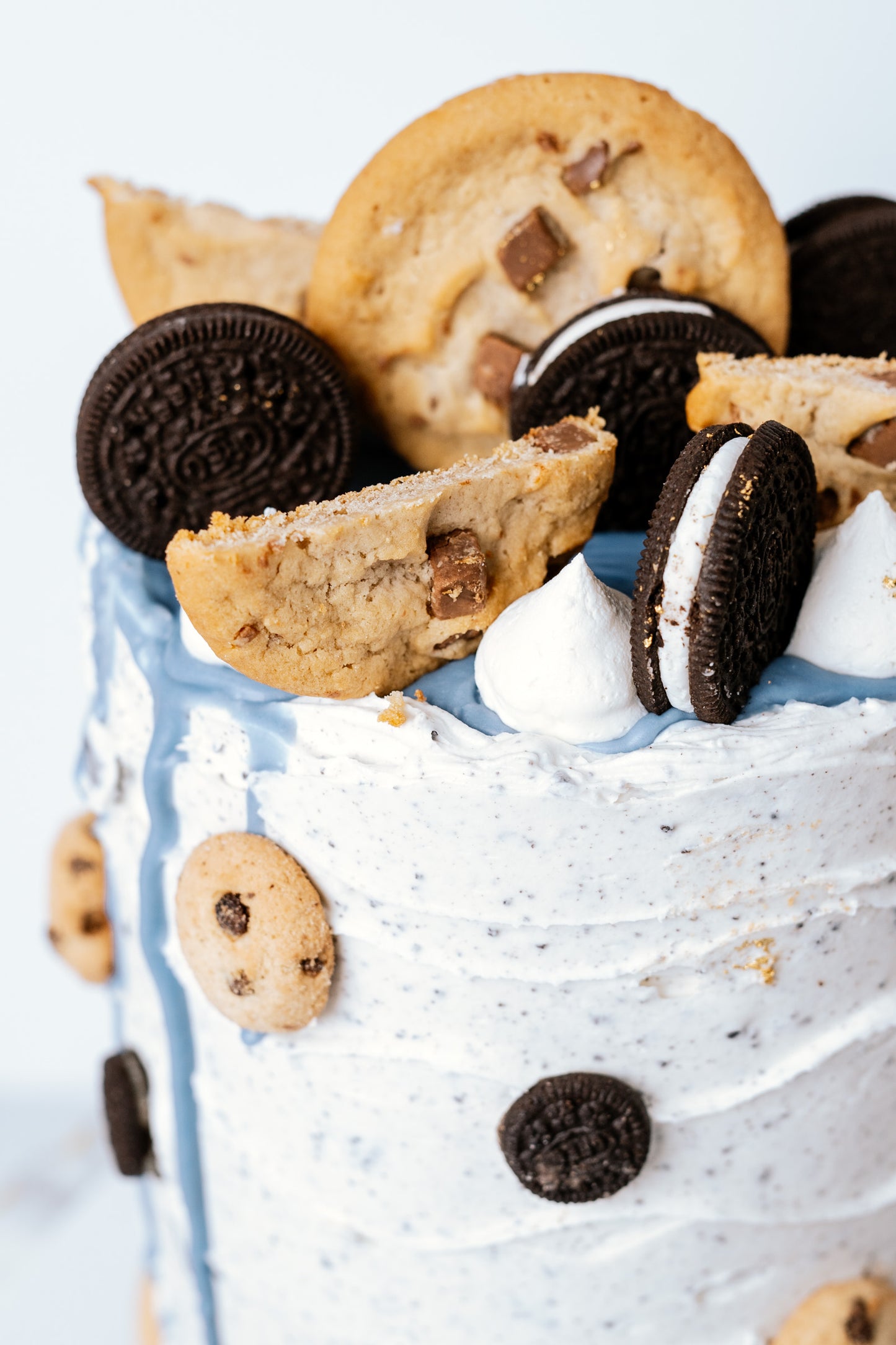 Cookie Monster Cake