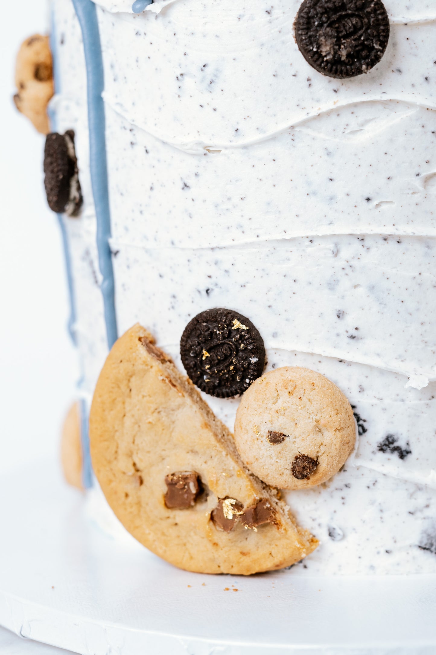 Cookie Monster Cake